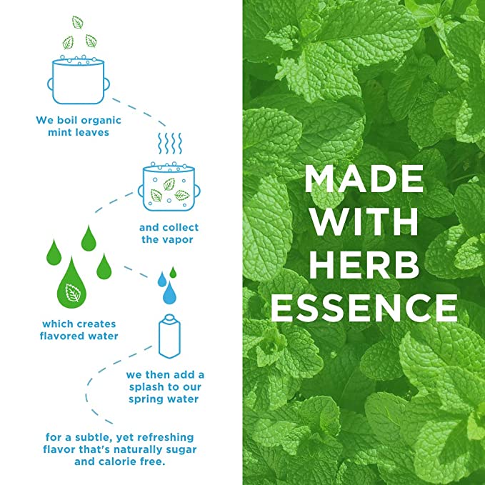 Water Mint Infused Spring Water