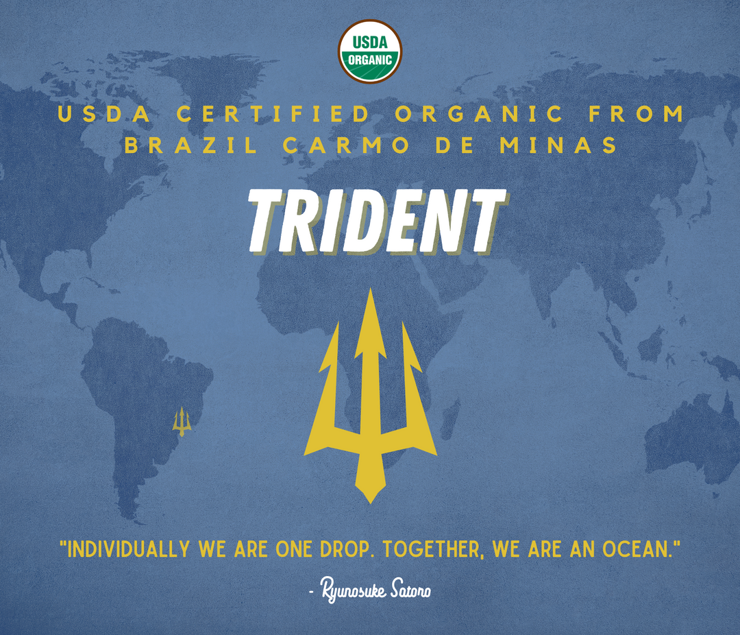 Medium Roast Whole Bean Coffee