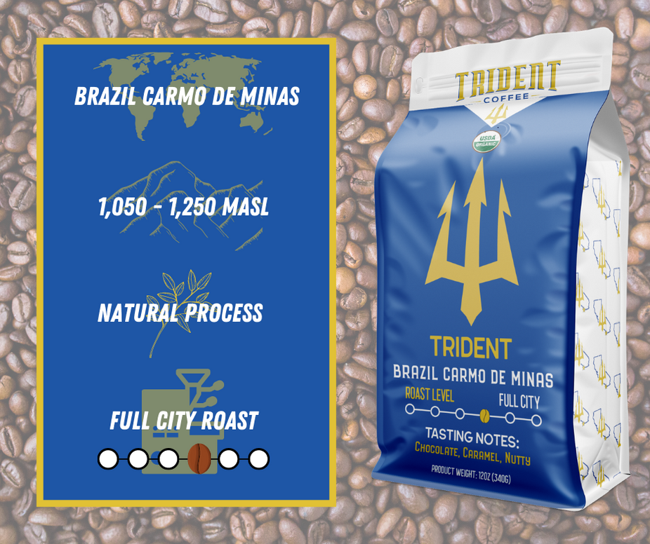 Medium Roast Whole Bean Coffee