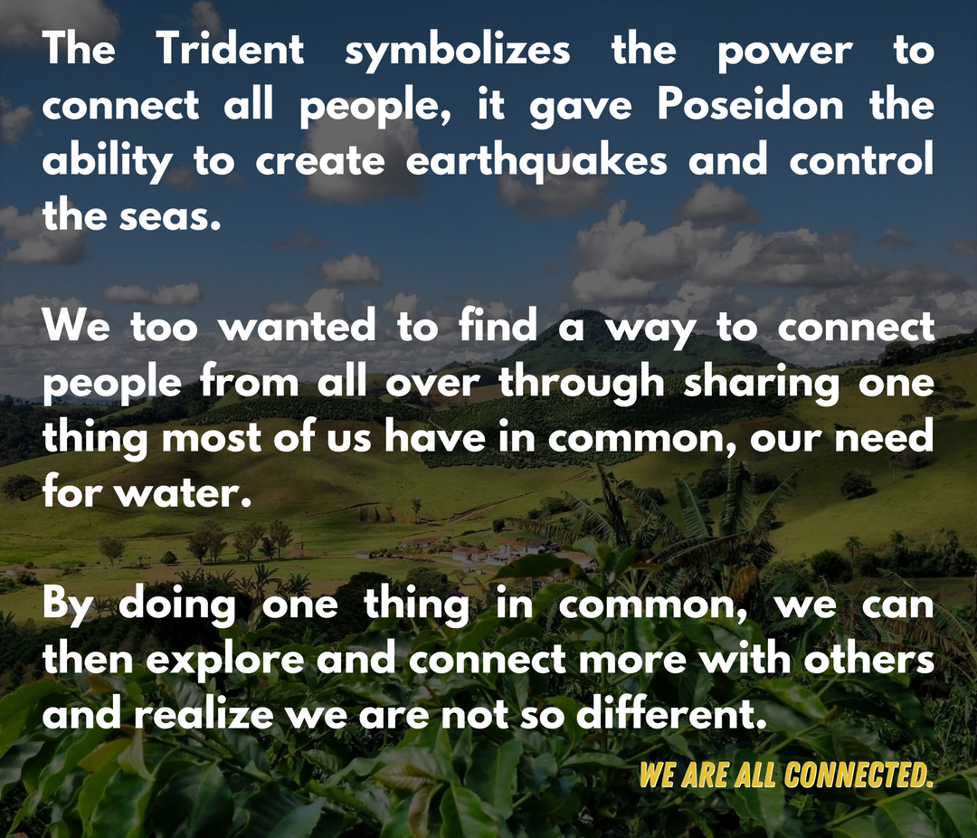 Medium Roast Whole Bean Coffee