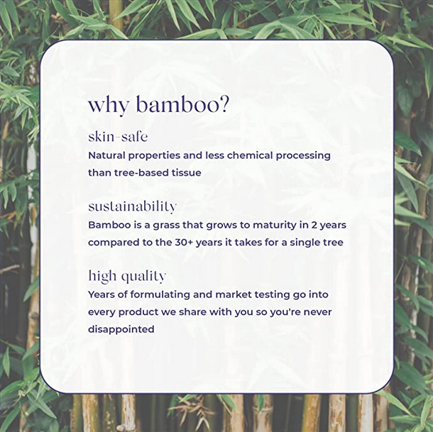 Bamboo Toilet Paper 4 Mega Rolls