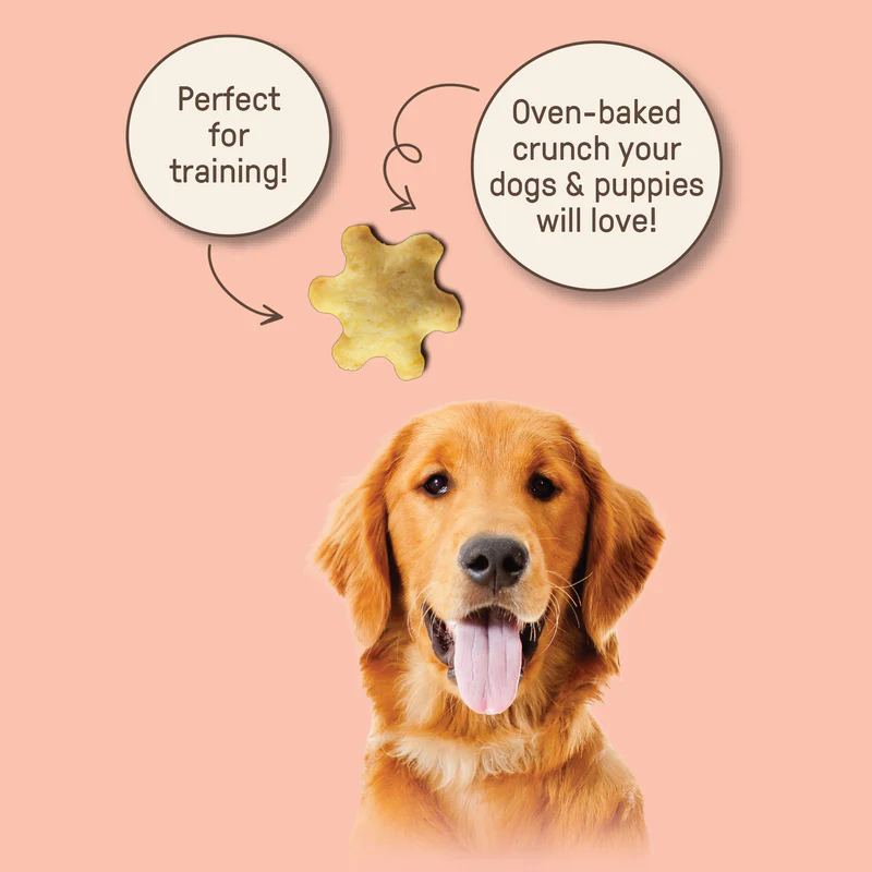 Organic Chicken Flavor Cracker